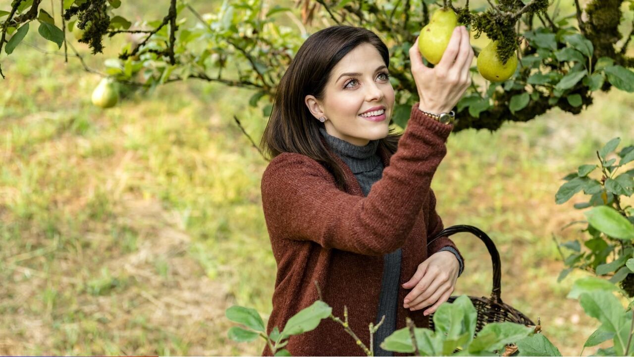 Vignette du programme télé L'amour dans le pré