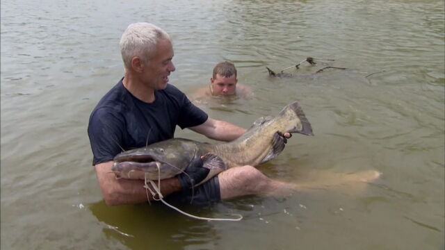 Vignette du programme télé River Monsters