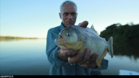 Vignette du programme télé River Monsters