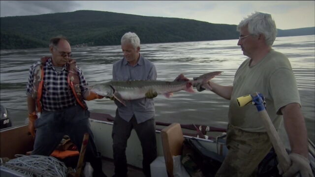 Vignette du programme télé River Monsters