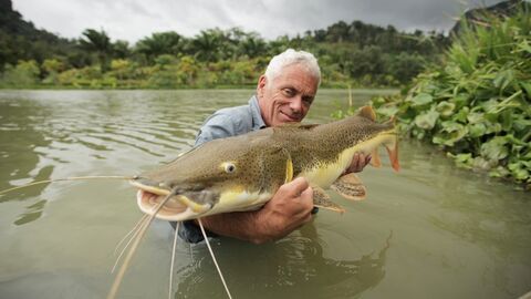 Vignette du programme télé River Monsters