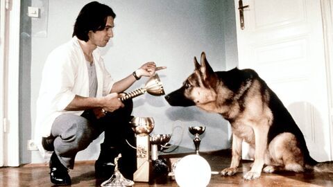 Vignette du programme télé Rex, chien flic