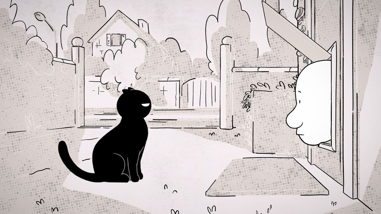 Vignette du programme télé Putain de chat !
