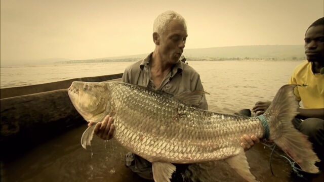 Vignette du programme télé River Monsters