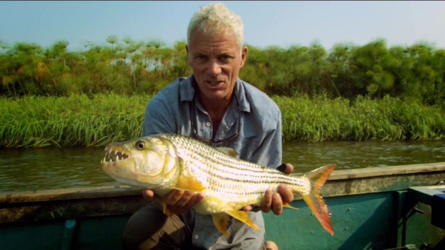 Vignette du programme télé River Monsters