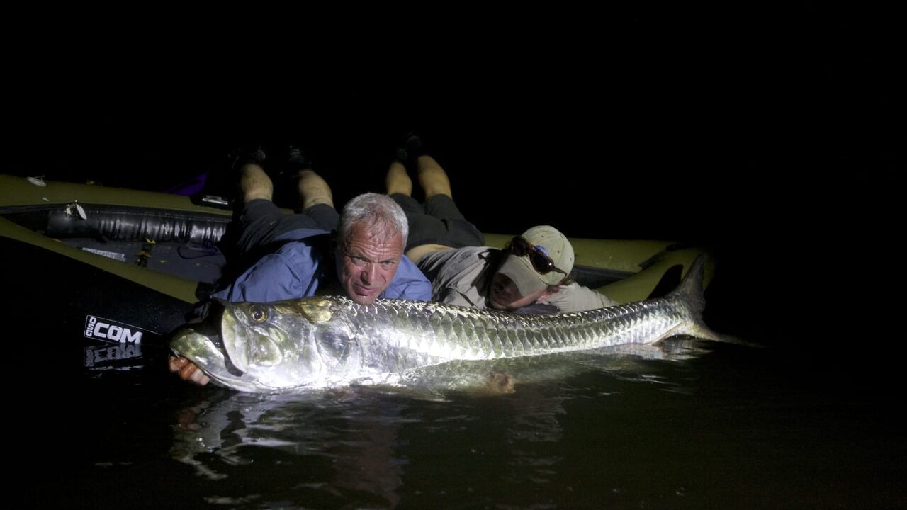 Vignette du programme télé River Monsters