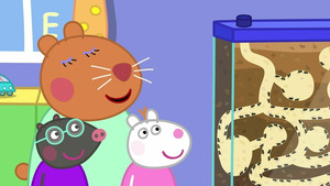 Vignette du programme télé Peppa Pig (La fourmilière de la doctoresse hamster !) S9 (n°22)