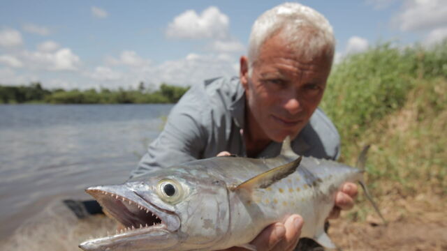 Vignette du programme télé River Monsters