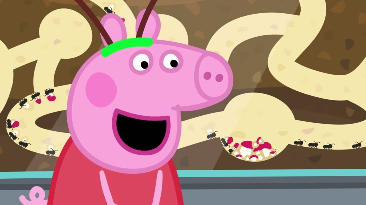 Vignette du programme télé Peppa Pig