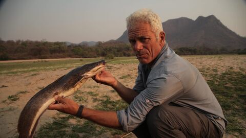Vignette du programme télé River Monsters