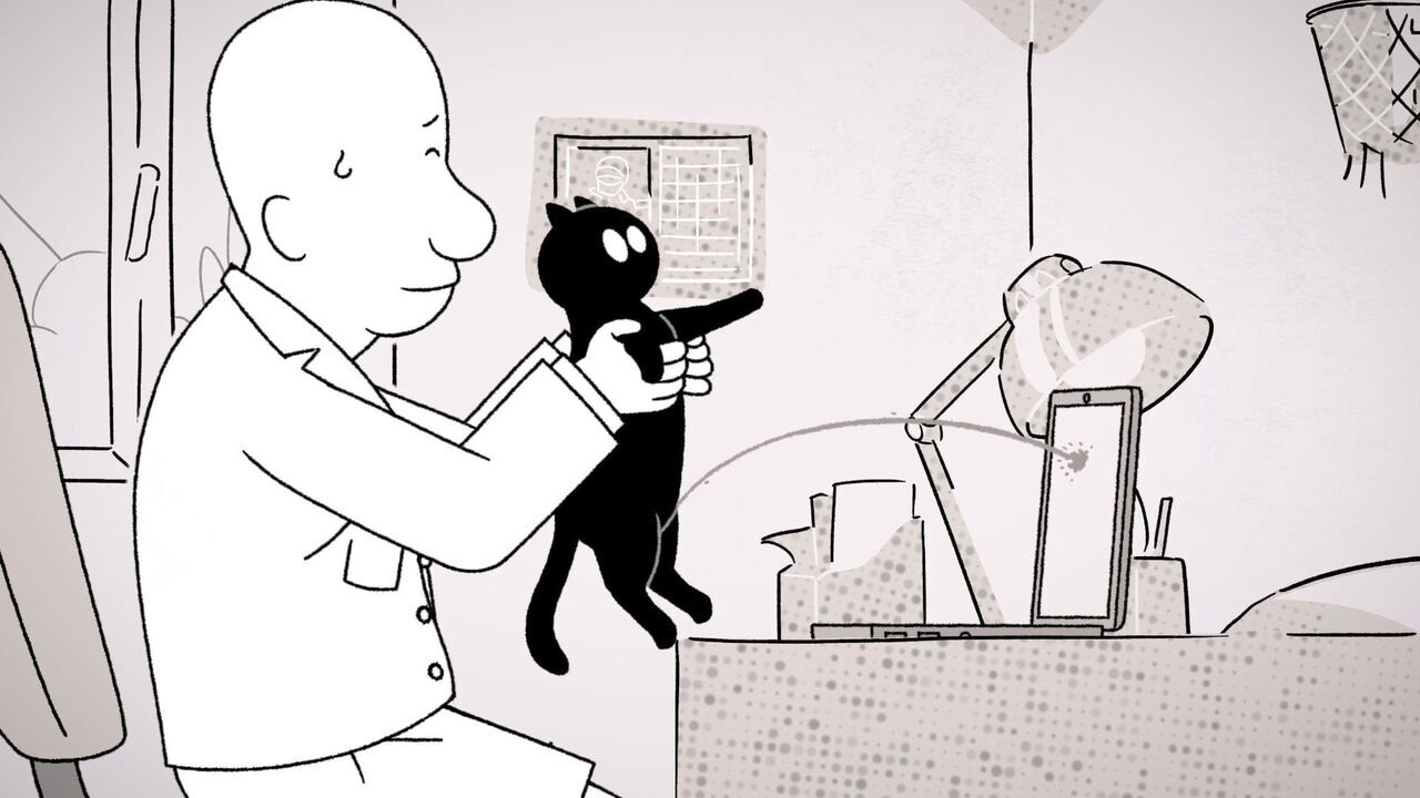 Vignette du programme télé Putain de chat !