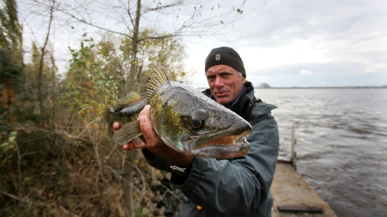 Vignette du programme télé River Monsters