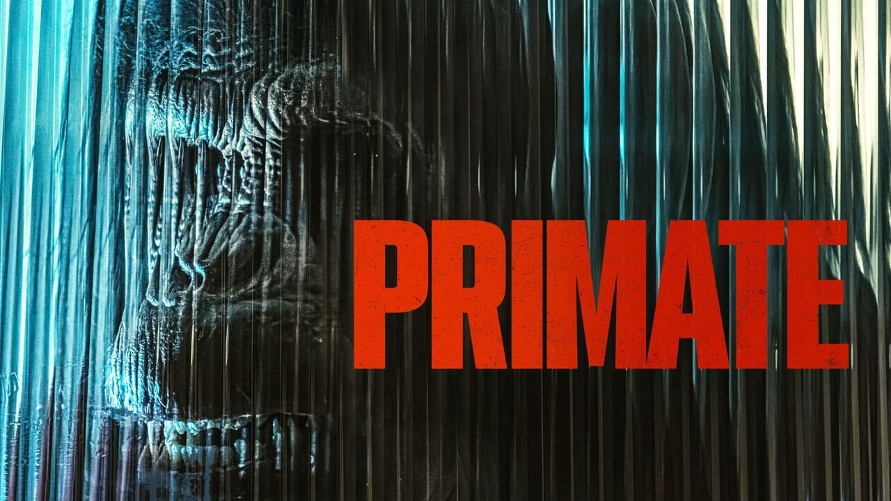 Vignette du programme télé Primate