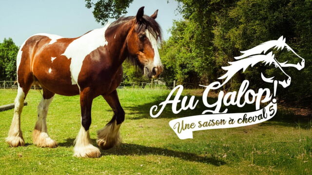 Vignette du programme télé Au galop !