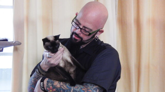 Vignette du programme télé Hell's Cats