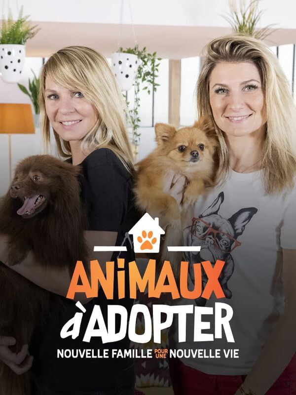 Vignette du programme télé Animaux à adopter : nouvelle famille pour une nouvelle vie