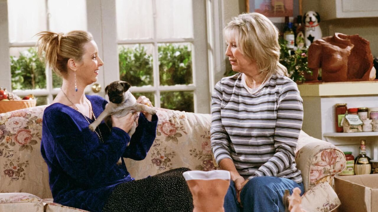 Vignette du programme télé Friends