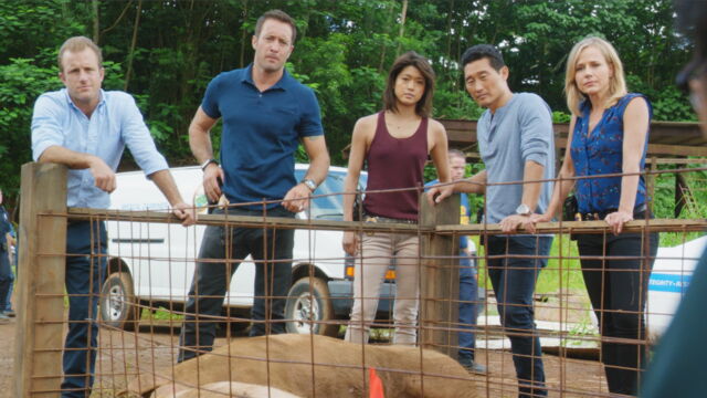 Vignette du programme télé Hawaii 5-0