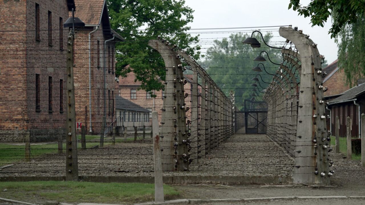 Vignette du programme télé Auschwitz, la machine de mort nazie