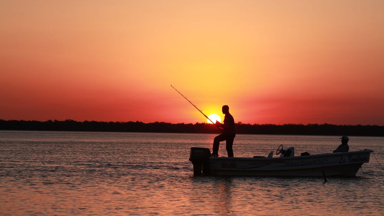 Vignette du programme télé River Monsters