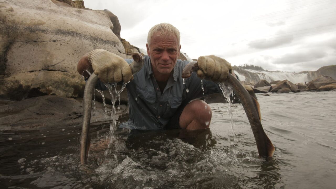 Vignette du programme télé River Monsters