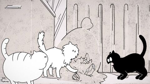 Vignette du programme télé Putain de chat !