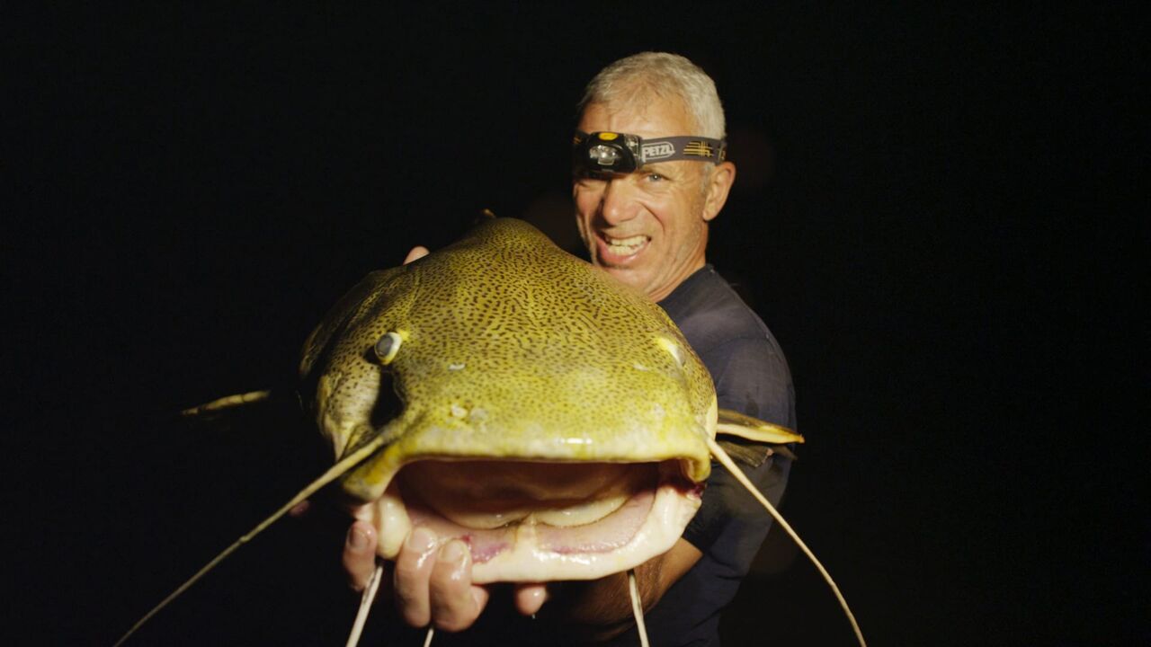 Vignette du programme télé River Monsters