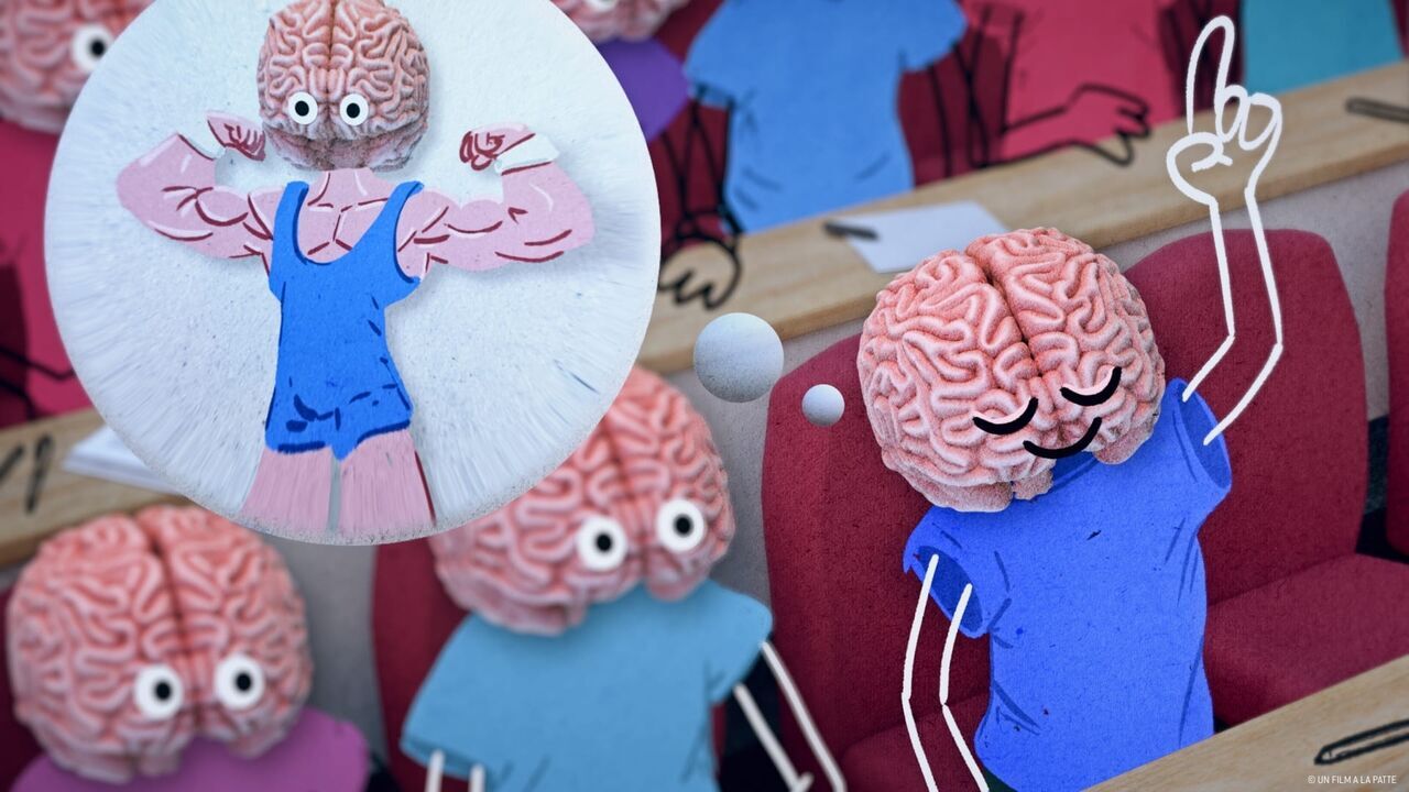 Vignette du programme télé Climat : mon cerveau fait l'autruche