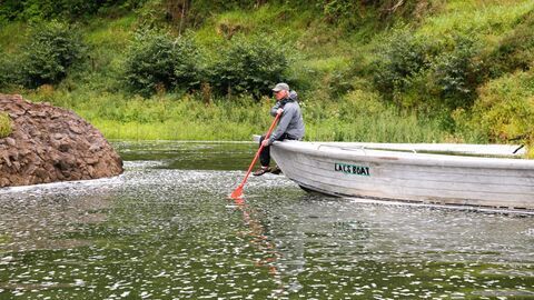 Vignette du programme télé River Monsters