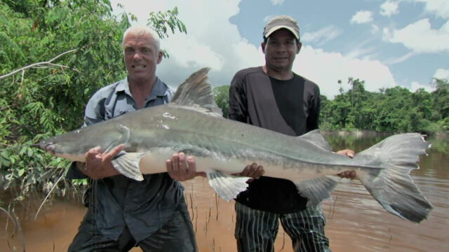 Vignette du programme télé River Monsters