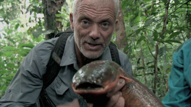 Vignette du programme télé River Monsters