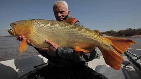 Vignette du programme télé River Monsters