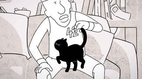 Vignette du programme télé Putain de chat !