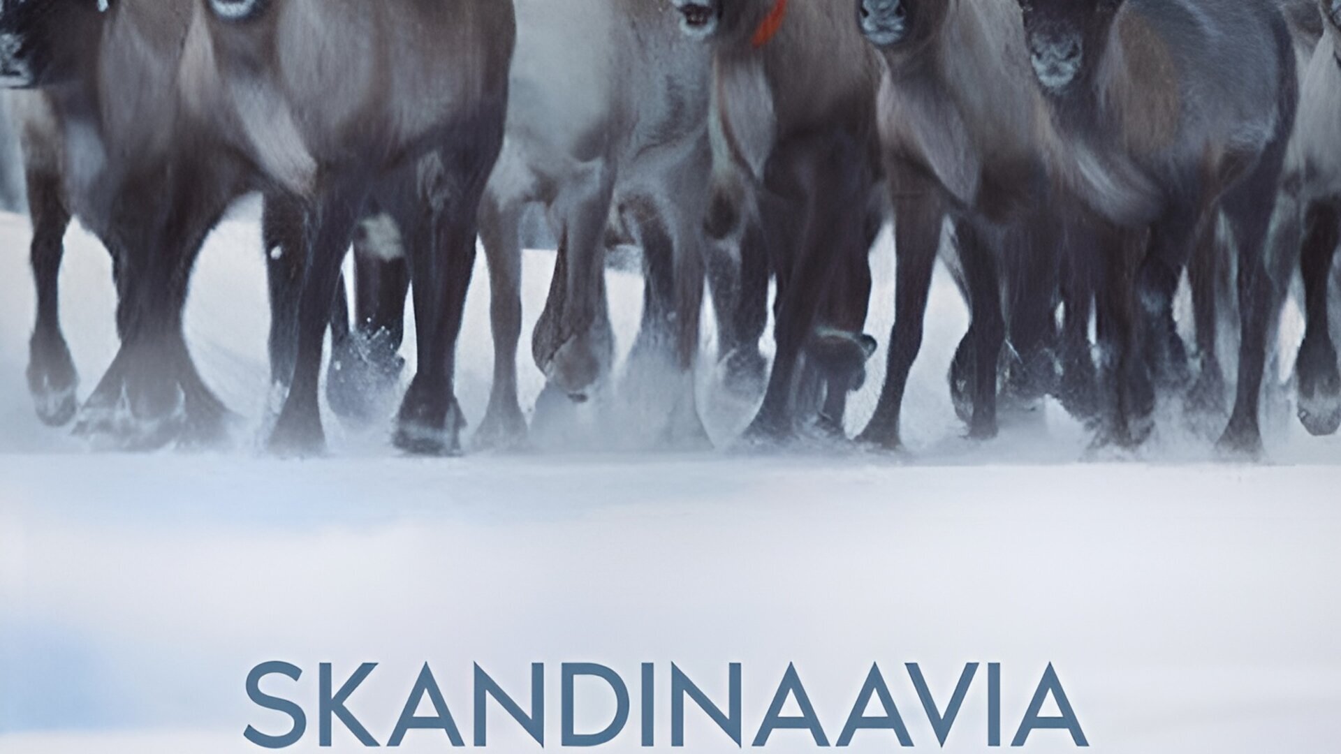 Vignette du programme télé Au coeur de la Scandinavie