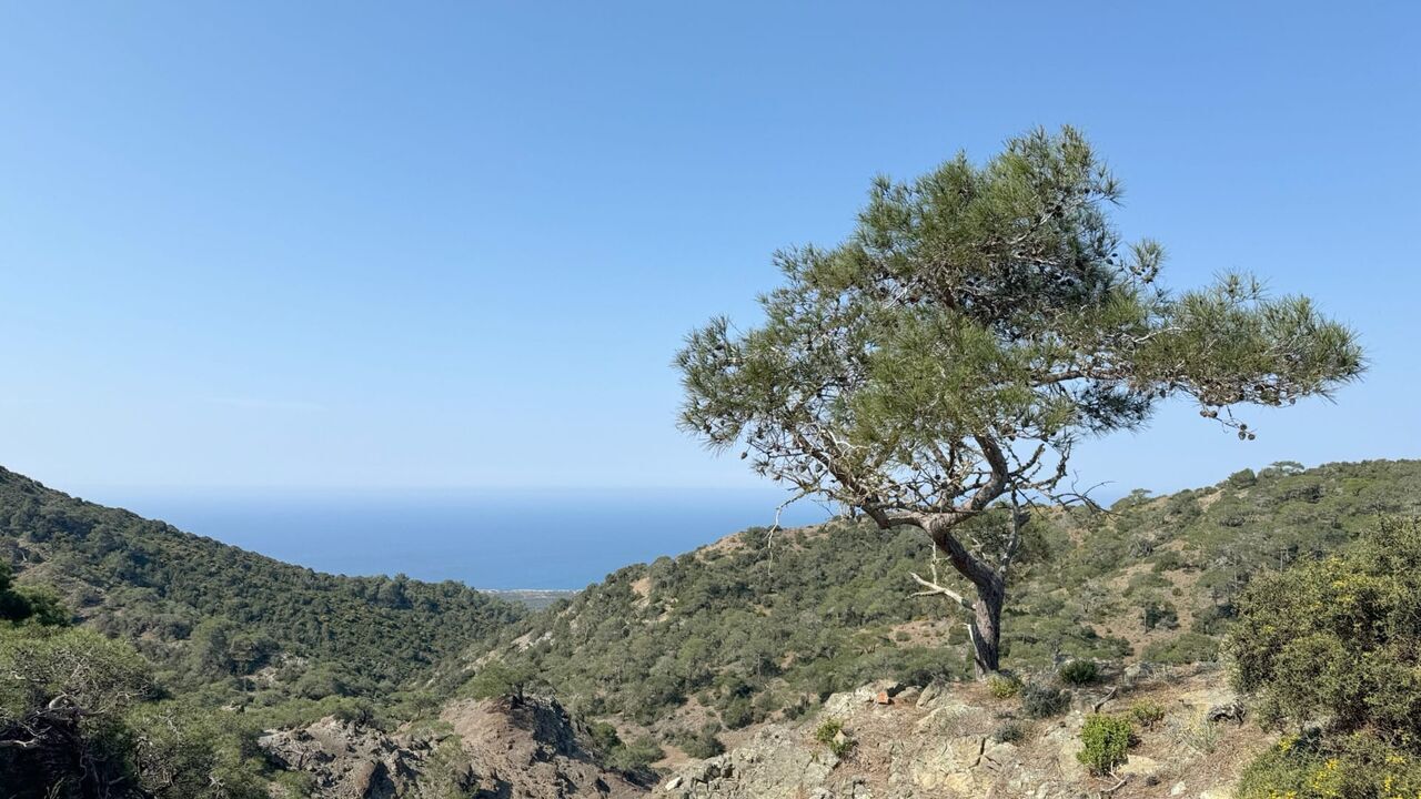 Vignette du programme télé Chypre : une nature mythique