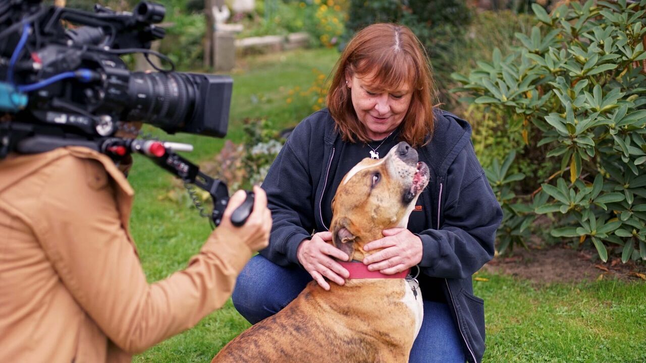 Vignette du programme télé Chiens et chats sans collier