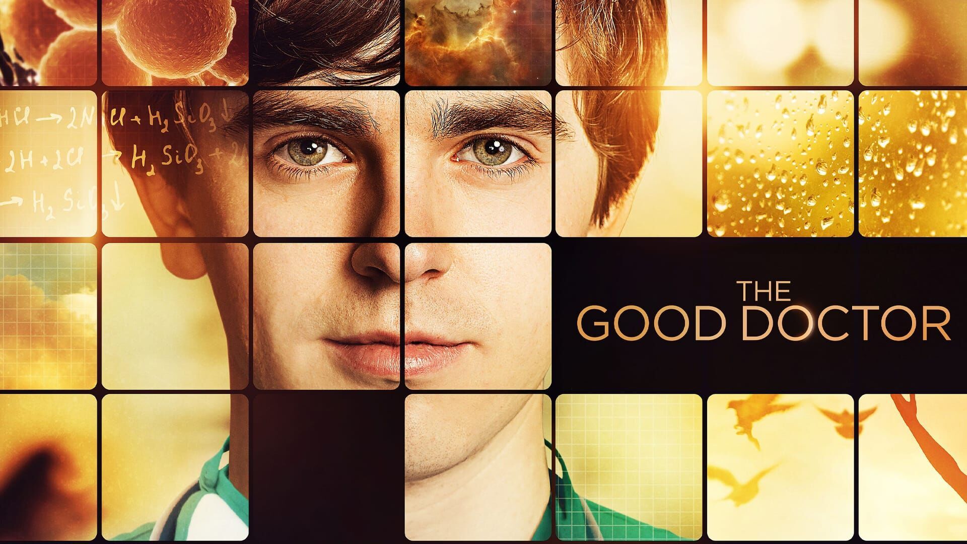 Vignette du programme télé Good Doctor