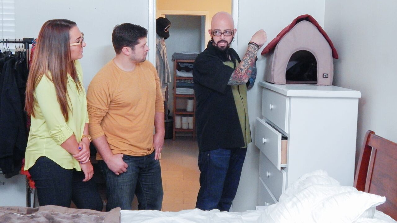 Vignette du programme télé Hell's Cats