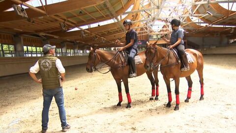 Vignette du programme télé Au galop !