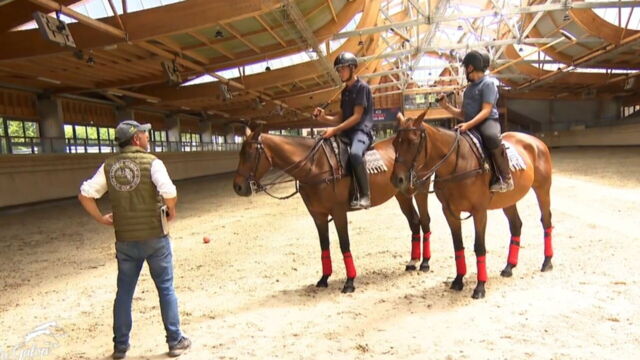 Vignette du programme télé Au galop !
