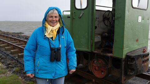 Vignette du programme télé Mer du Nord, le retour des oies sauvages