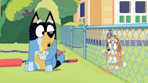 Vignette du programme télé Bluey