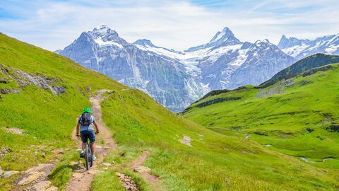 Vignette du programme télé VTT : Championnats d'Europe