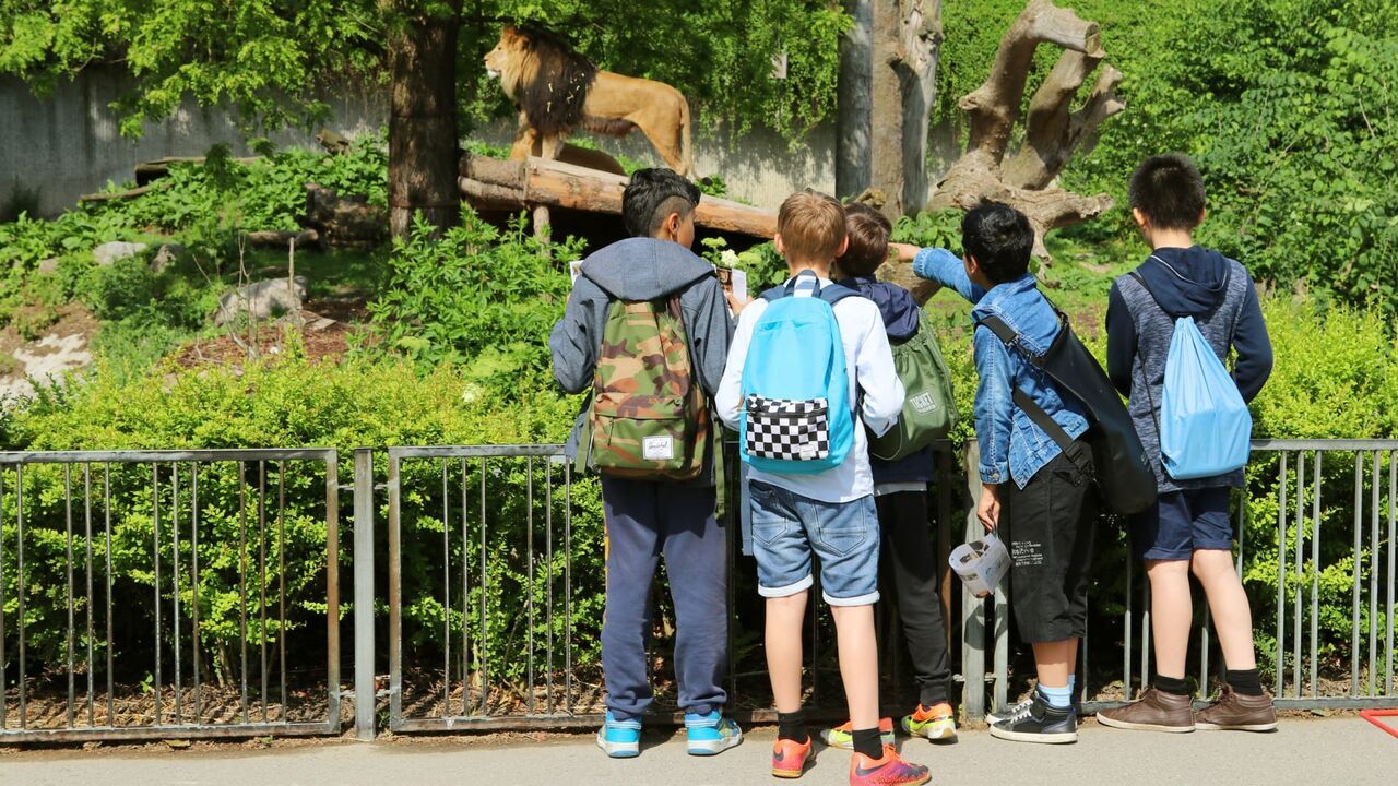 Vignette du programme télé Une saison au zoo