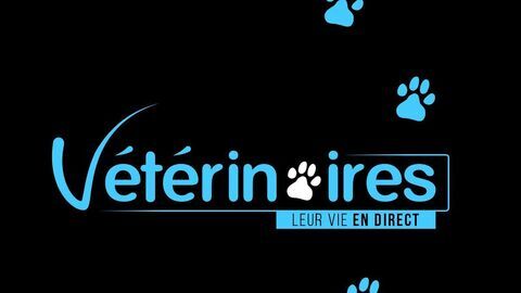 Vignette du programme télé Vétérinaires, leur vie en direct