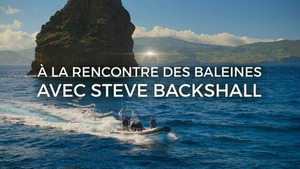 Vignette du programme télé A la rencontre des baleines avec Steve Backshall (Les chasseresses des océans) S1 (2/4)