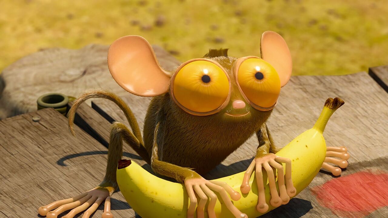 Vignette du programme télé Les as de la jungle à la rescousse