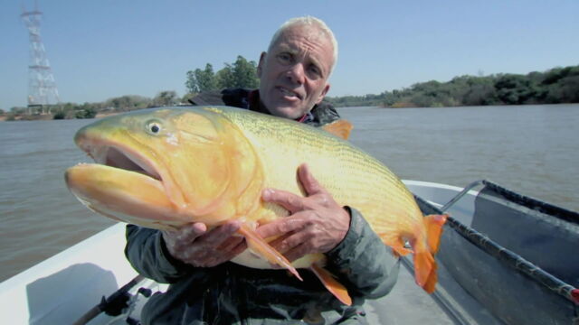 Vignette du programme télé River Monsters