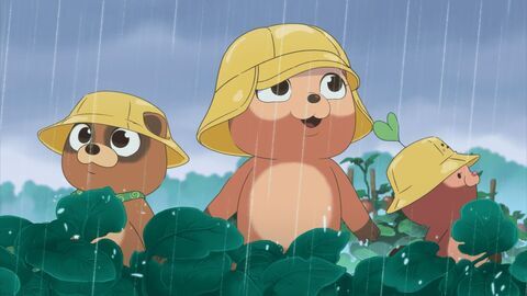 Vignette du programme télé Taki Tanuki