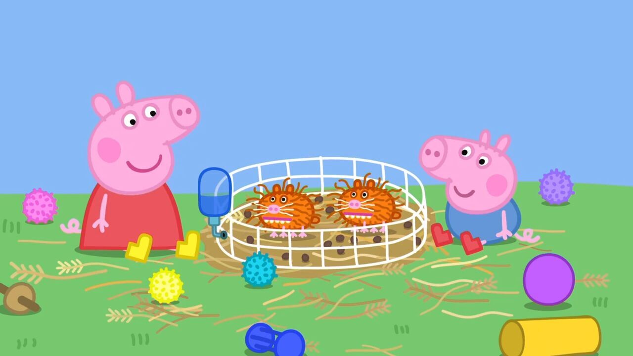Vignette du programme télé Peppa Pig